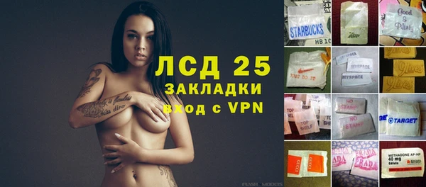 PSILOCYBIN Абдулино