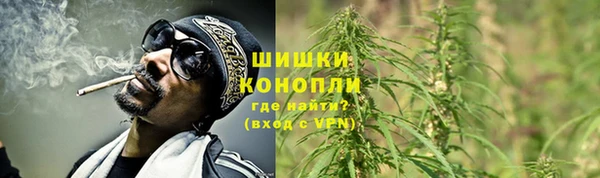 PSILOCYBIN Абдулино