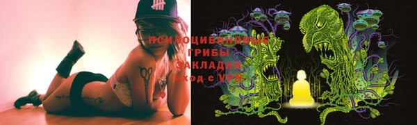 PSILOCYBIN Абдулино