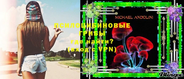 PSILOCYBIN Абдулино