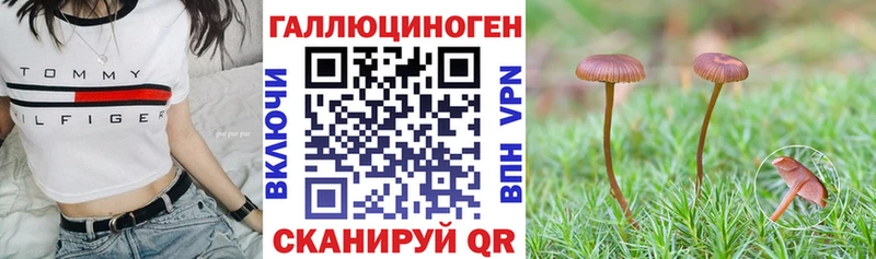 даркнет наркотические препараты  Курчатов  Псилоцибиновые грибы мицелий 