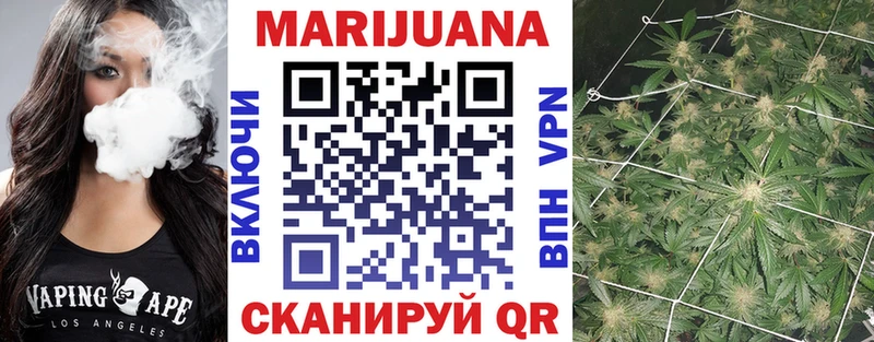 Каннабис индика Курчатов